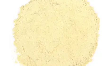 What Does Astragalus Extract Powder Do?